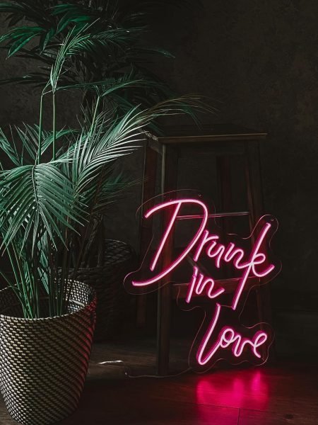 Drunk in Love